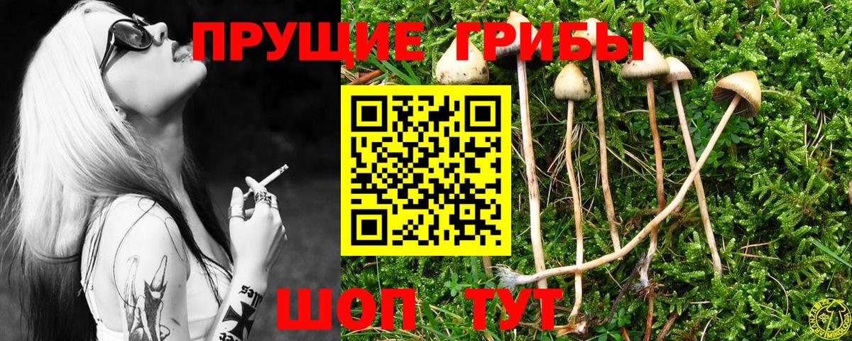 Псилоцибиновые грибы MAGIC MUSHROOMS Шадринск